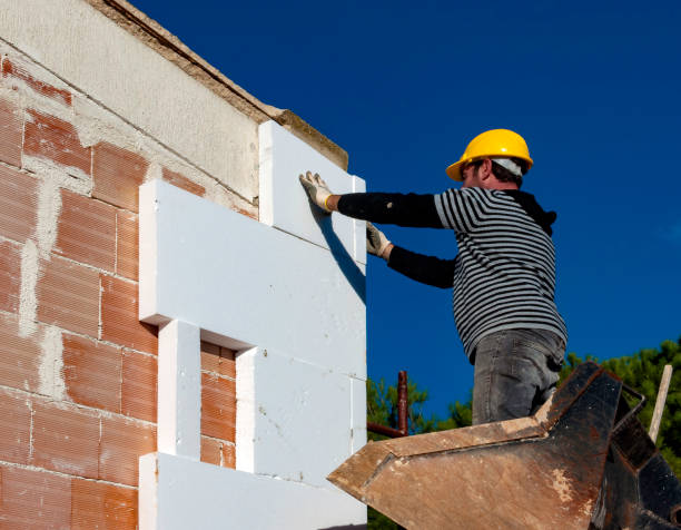 Best Insulation Contractors for Homes  in Harrisonburg, VA