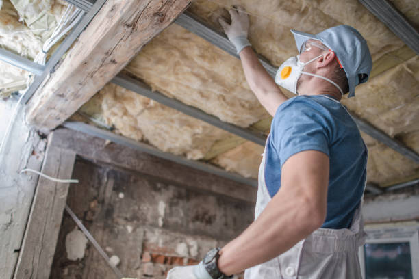 Best Professional Insulation Contractor  in Harrisonburg, VA
