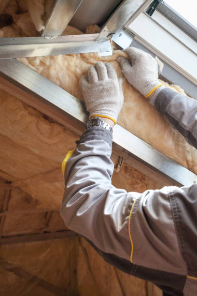 Best Insulation Replacement Services  in Harrisonburg, VA