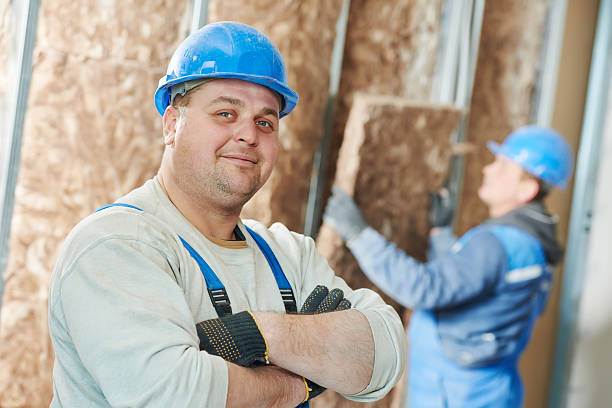 Best Attic Insulation Installation  in Harrisonburg, VA