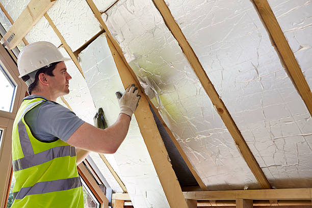 Best Residential Insulation Services  in Harrisonburg, VA