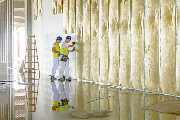Best Best Insulation Companies  in Harrisonburg, VA